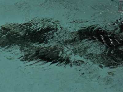 L�acqua gelida � dovuta principalmente alla presenza di sorgenti chiamate �citri�, che sgorgando formano affascinanti giochi di bolle con la sabbia